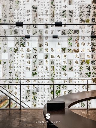 This Chinese Medicine Experience Hall in Nanping Street, Kunming, really has a bit of a will!! ️