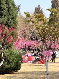 保定3-4月春遊攻略｜兩大寶藏地，赴一場春日之約