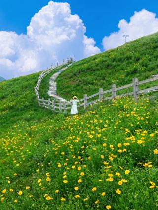 The place everyone's been asking about on social media! It's not Xinjiang! It's in Zhejiang!!! I never knew Zhejiang had such a beautiful place hidden away!!! No need to fly to Xinjiang