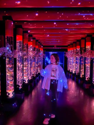 Ahhh, I took 100 photos of this exhibition in Ginza, Tokyo, and it still wasn't enough!