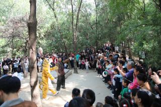 The Hero Gathering at Jingyang Ridge begins, Wu Song welcomes guests with silver notes