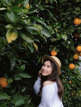 LA actually has a place full of orange trees all over the hills, it's so healing