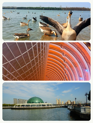 Traveling with parents, this place is easy and worry-free