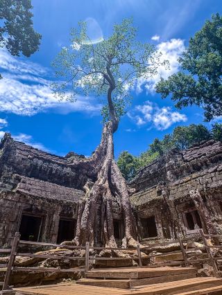 7-day multi-country tour of Vietnam: copy this itinerary