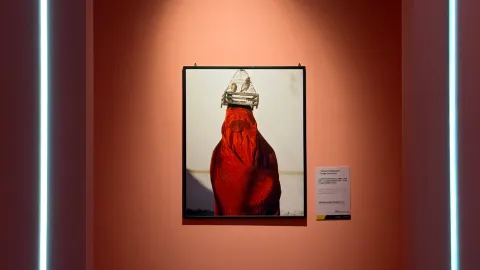 Tianjin Women's Photography Exhibition | Beyond the classics, 5 "life moments" that touched me the most — traveler post in Vrindavan