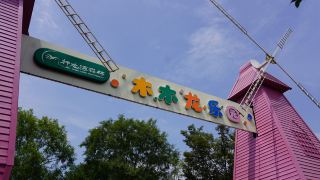 The Ultimate Family Escape: Fresh Air and Fun at Shenlong Bay Forest