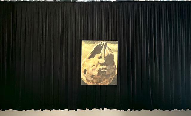 艺术迷速來!START星美術館三大新展同開,拍照打卡