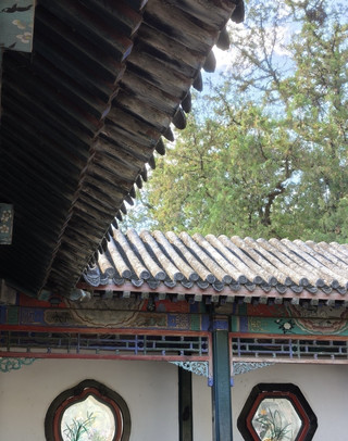 Summer Palace | If the weather is nice, I would like to visit you again.

The Summer Palace is so big that it's a bit exaggerated. It's worthy of being "Cixi's strict selection"😂. The weather in Beijing is quite good these days, with plenty of sunshine. Although there is a little sun, the heat is not unbearable. Compared to the Forbidden City, which has less shade all the way, the Summer Palace is much more comfortable. There are many shade trees in the garden. You can always find a shady place to rest when you get tired of walking. The whole circle slowly walked down, actually did not sweat a little, the body feeling much more comfortable than imagined.

For travel, I recommend entering from the North Palace Gate. Take the subway to Kitomiyamon Station, exit the station and walk a few hundred meters to the entrance. I didn't buy a joint ticket this time, because the Summer Palace is so big that I might not be able to walk all the way in a day. Ordinary tickets are enough to stroll slowly. You can just swipe your ID card to enter.

Leaving the park you can exit from the newly built palace gate, which is located near the Seventeen Hole Bridge. It’s usually almost tired when you reach the 17-hole bridge, and it’s just right to leave the park directly after taking pictures. Turn left and walk about 200 meters to get a bus stop. You can then turn to the MTR station. The whole route is quite smooth.

As for the toilet, no worries at all. The number in the garden was more than I expected, I had seen three or four along the way, and the most surprising thing was that some of the toilets even had air conditioning! It really felt like "extending your life" when you walked in when it was hot, but I didn't dare to blow too long, after all the temperature difference between indoor and outdoor is big.

If it’s your first time, I don’t recommend rushing the trip just to check in. The most comfortable way to play in the Summer Palace is to take a slow walk along the lake on a nice day, and when you’re tired, sit down and take a breather. It's worth keeping this place for yourself for half a day, or even a whole day.

# Summer Palace #Beijing Travel #Beijing Attractions #Beijing Free Trip #SummerPalace
