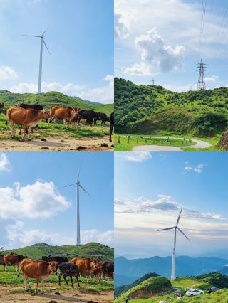 Don't want to travel far this weekend? These Northern Guangdong towns, accessible by high-speed rail, are incredibly healing.