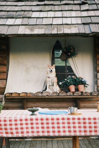 Dongqian Lake Pet-Friendly Weekend Trip