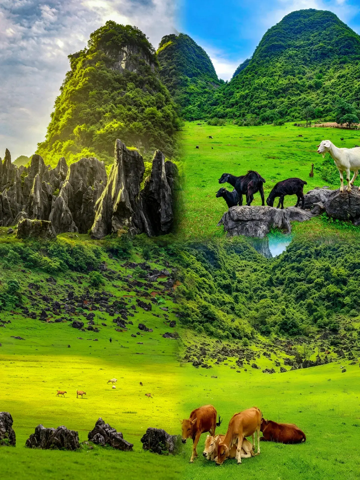 Guangxi hides a magical stone forest grassland?! The ultimate guide to wild exploration at Xiangshui Stone Forest