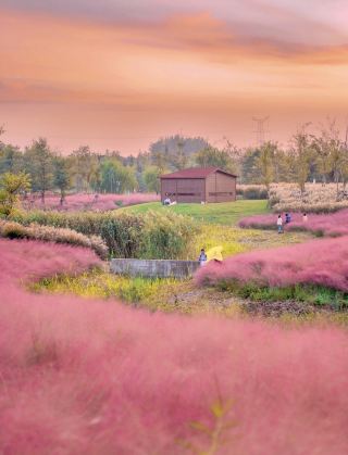 สีสันแห่งฤดูใบไม้ร่วงในเซี่ยงไฮ้