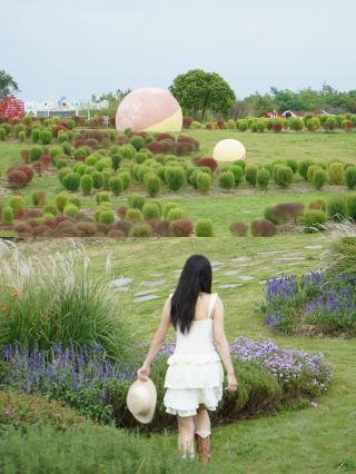 成都の秋は、空港花田の花畑に隠れています