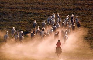 ウランブトン草原で、牧馬人と共に風を追い、日を追う