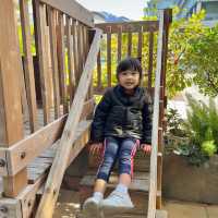 科學園超靚景觀親子餐廳👨‍👩‍👧🍴食意大利菜