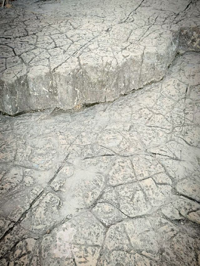 향일암 여수 오면 무조건 여기!