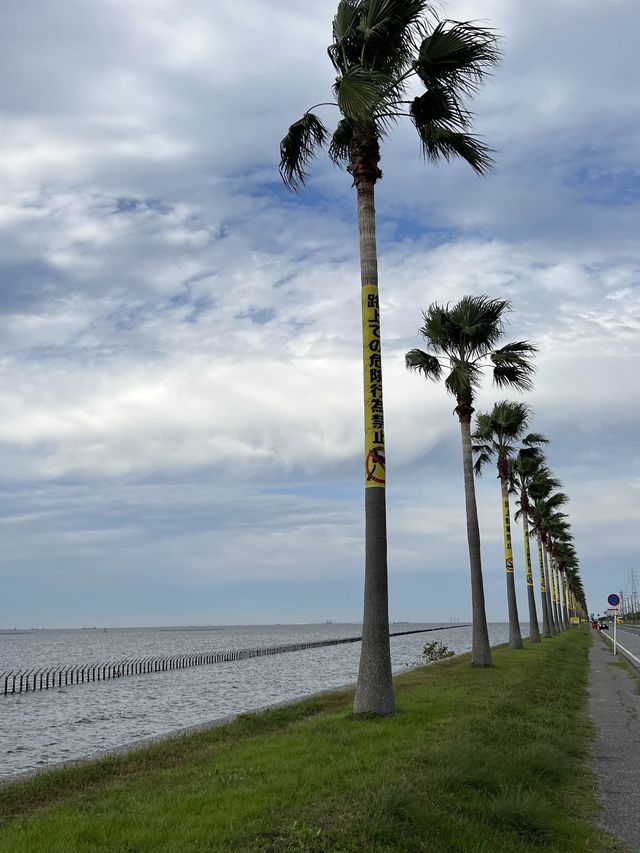 南国風情の袖ヶ浦🏝