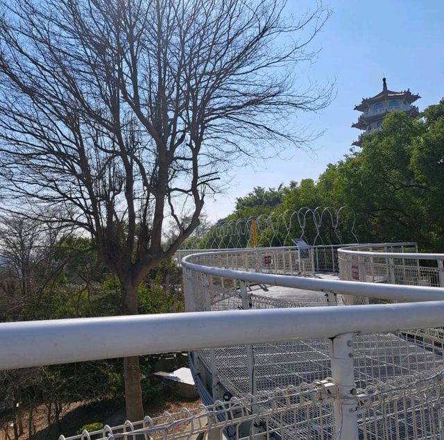 免費景點推薦----彰化八卦山天空步道