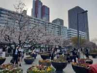 Yeouido Hangang Park