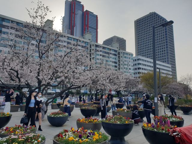 Yeouido Hangang Park