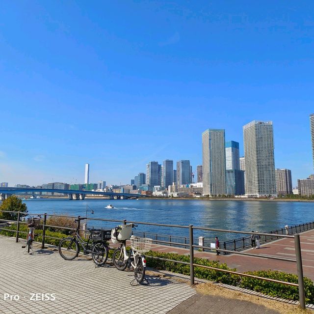 東京旅遊，豐洲公園