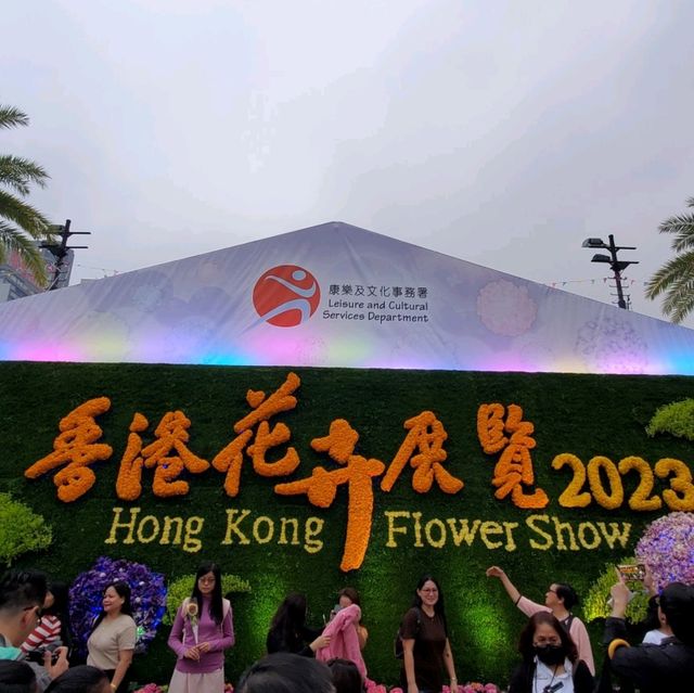 香港花卉展覽2023 - 夜