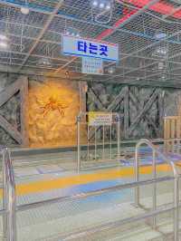 아이들과 함께 가기 좋은 에코랄라🌏