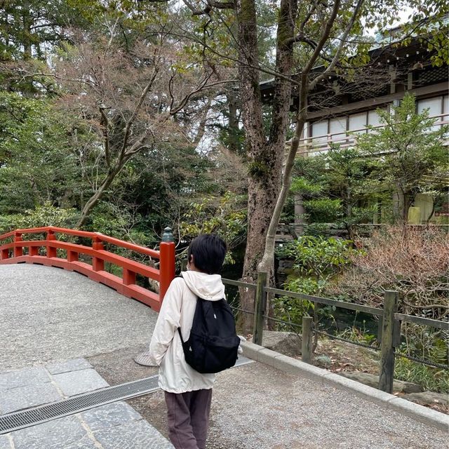 鶴ケ岡八幡宮⛩