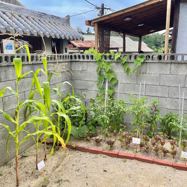 울산 장생포 문화마을 장생포 옛마을✔️