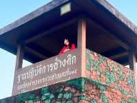 จุดชมวิวเนินช้างศึก