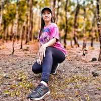 Mayon Black Lava Zipline Adventure