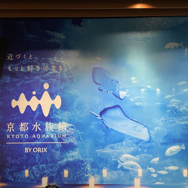 【京都府】大人も子供もたのしめる京都水族館へ！