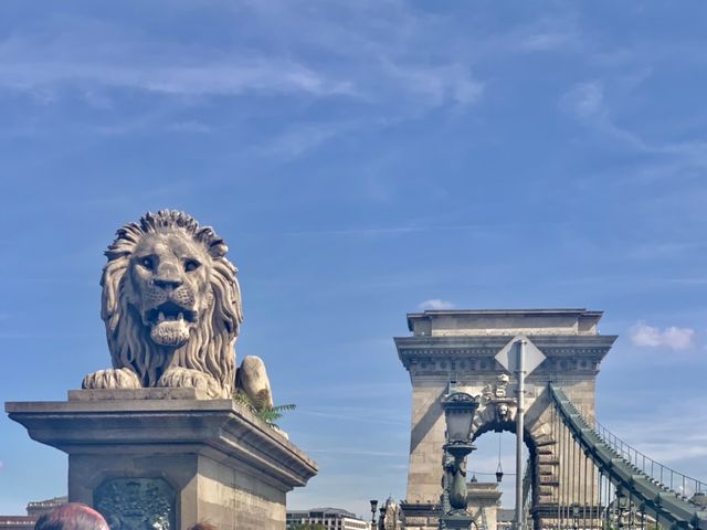 부다페스트 가면 꼭 들러야할 국회의사당&세체니다리🦁