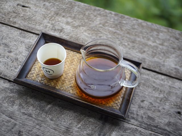 กาแฟ ภูเขา และตัวเรา ณ ปัว น่าน⛰️🌿🌱☘️🍃
