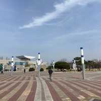 대전 피크닉 명소, 대전엑스포시민광장(남문광장) 주차장 등