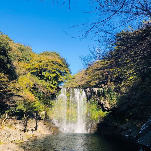 🇰🇷韓國濟州島風景💧💦 Cheonjiyeon Waterfall 천지연폭포