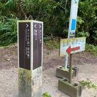 沖縄離島・竹富島「カイジ浜（星砂浜）」自然林のトンネル抜けて行くビーチ