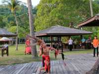 🌅 Sunset Dinner at Shangri-la Rasa Ria