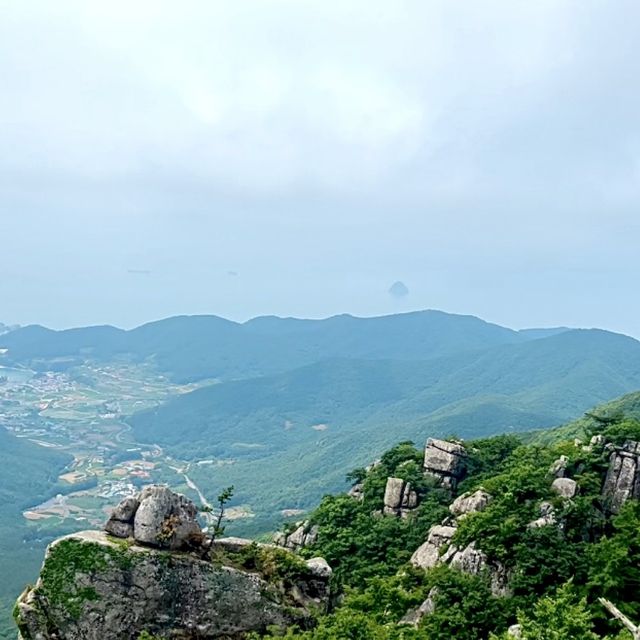 ‘필사즉생, 필생즉사’ 수국과 함께 이순신 장군을 볼 수 있는 ‘이순신공원’을 소개합니다 :)