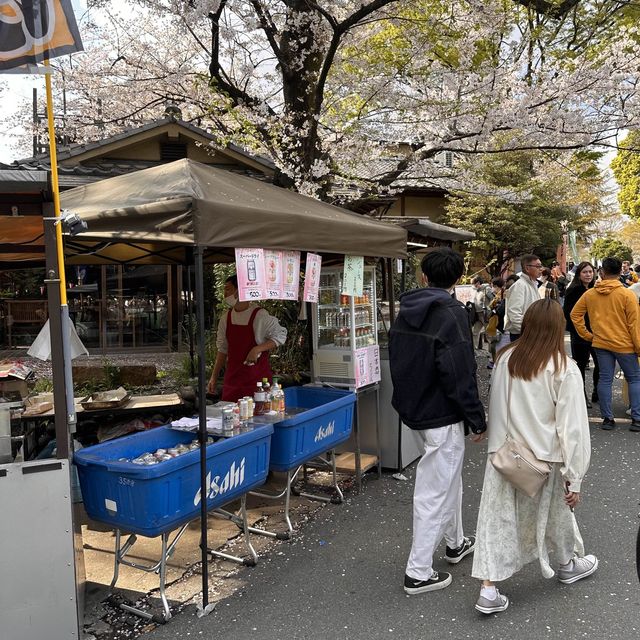 東京超大熱鬧賞櫻🌸地