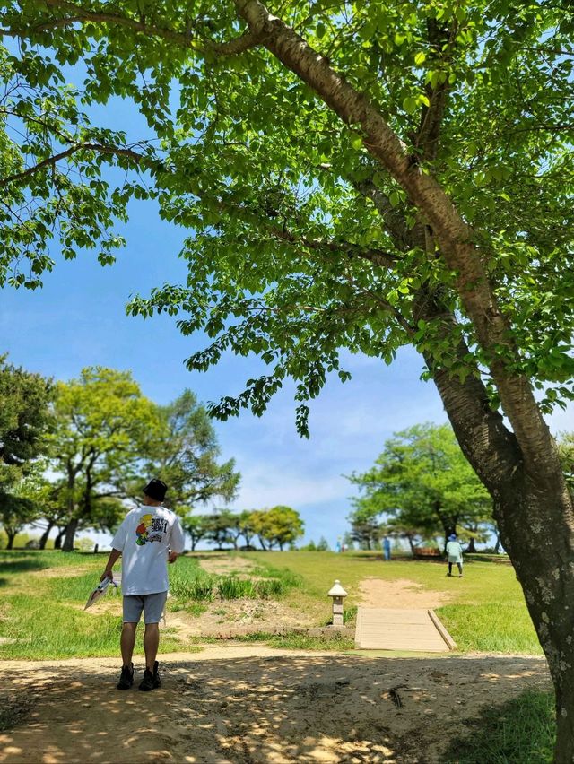 초록 가득한 힐링 한스푼🌿경주 최애여행코스💚
