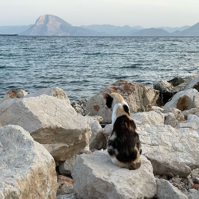 Patra's beauty, a mosaic of land and sea