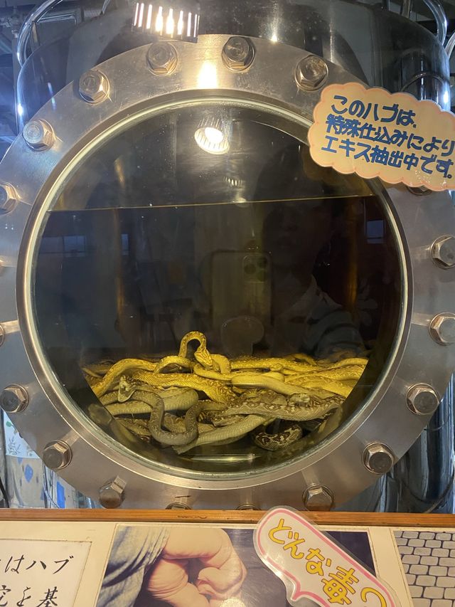 【沖縄/南城市】沖縄最大級の規模を誇るテーマパークおきなわワールド🌺