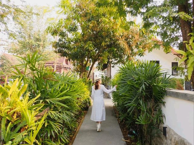 🌿 ทริปนี้เราจะพาทุกคนไปฮีลใจที่ "เชียงราย เชียงใจ"