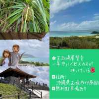 【沖縄県/石垣島】レンタカー(軽トラ)で1周観光