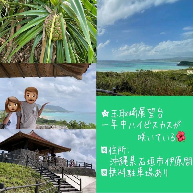 【沖縄県/石垣島】レンタカー(軽トラ)で1周観光