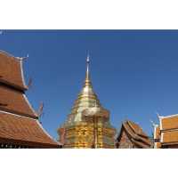 วัดพระธาตุดอยสุเทพราชวรวิหาร 🛕