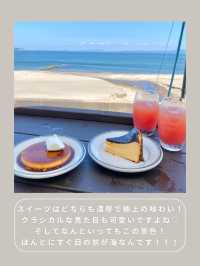 【神奈川】わんこと行ける海沿いカフェ🪸