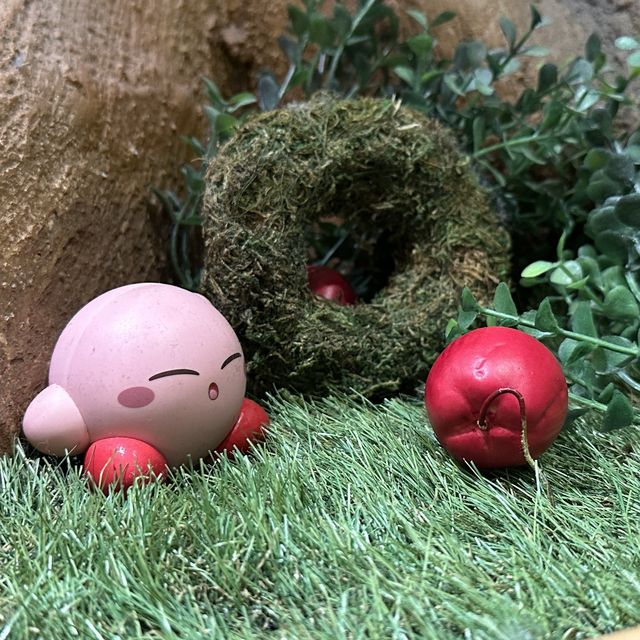 【日本/東京/墨田區】- Kirby Café By CoStudio