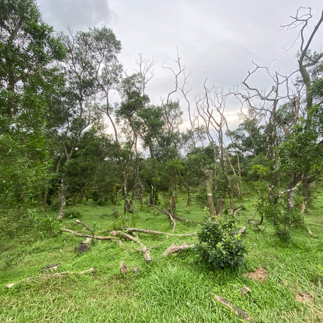 香港🇭🇰 ｜周日行山必選地點之一🌟 - 馬鞍山郊野公園🌲